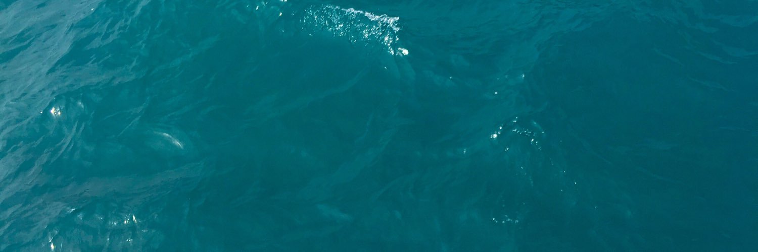 _sianrobertss's profile banner image