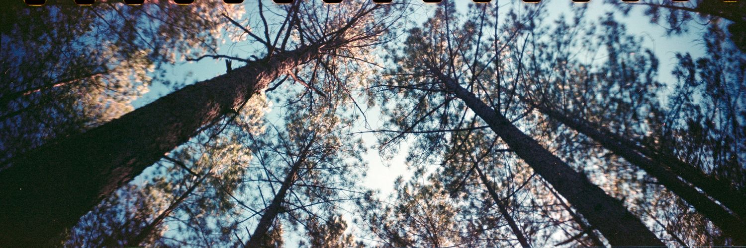 tuckchaylor's profile banner image