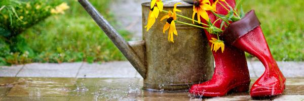 FIPPrint Profile Banner