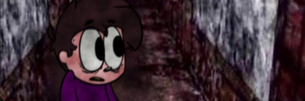 hssnwriter Profile Banner
