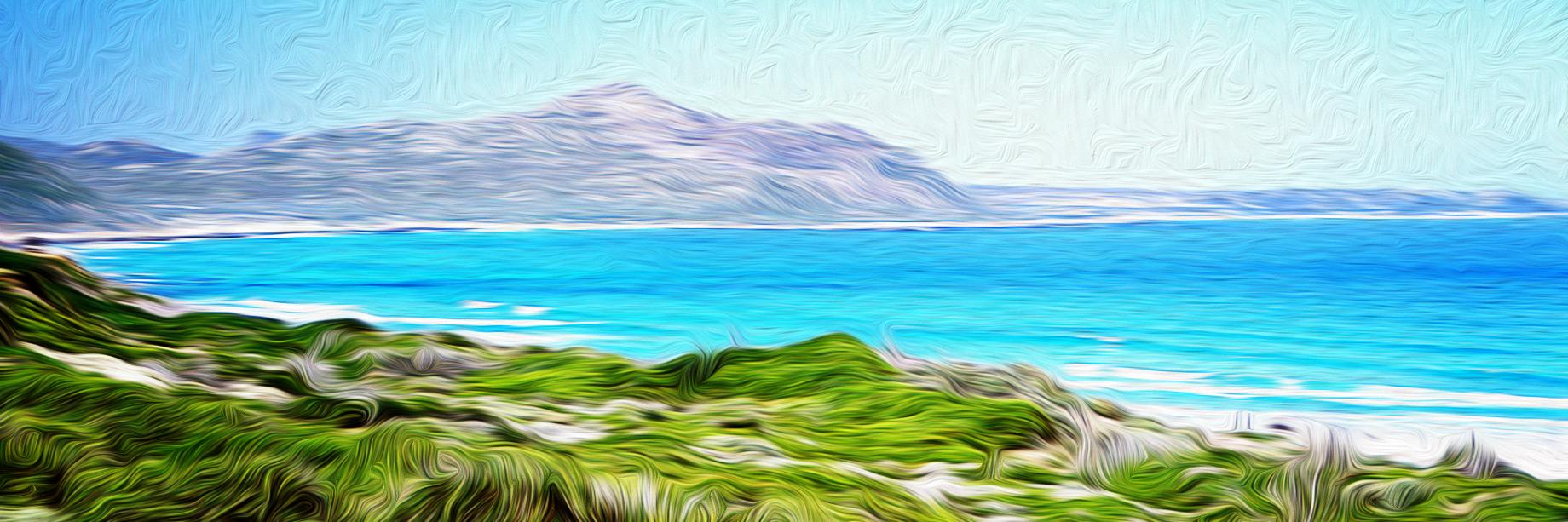 Amanda Gillespie banner