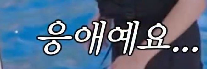 ppuichu's profile banner image
