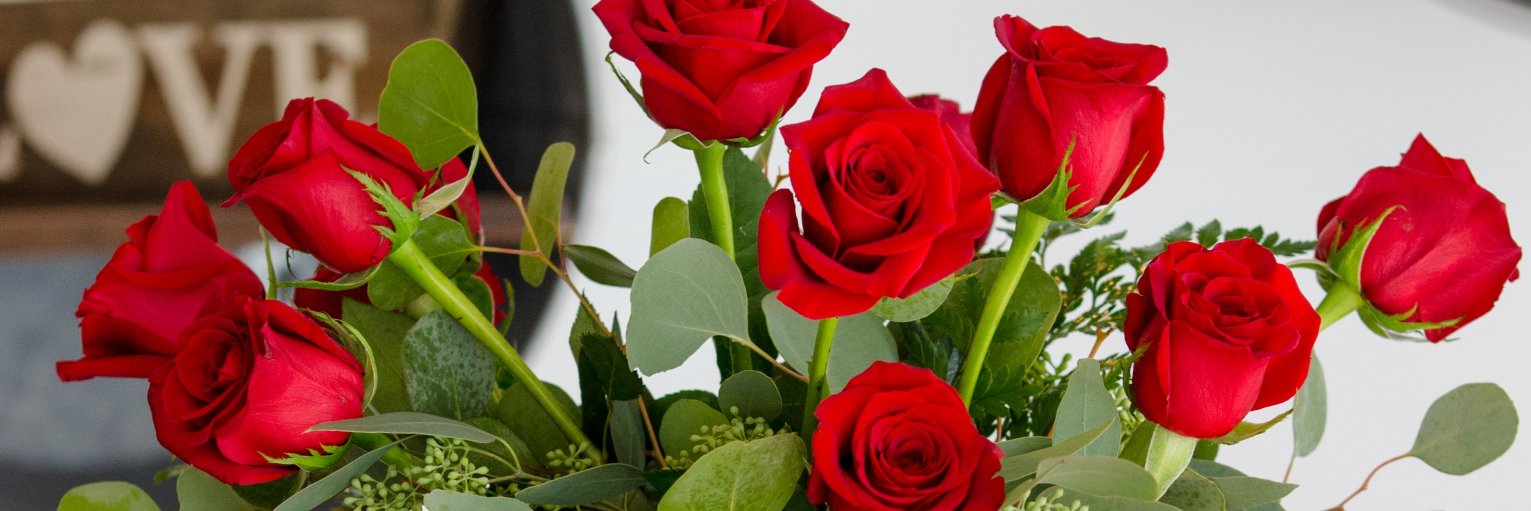 FoistersFlowers's profile banner image