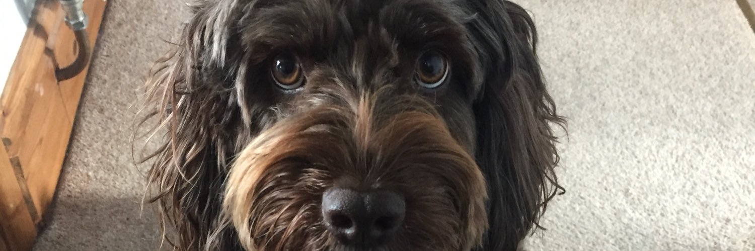 isabellehyde_'s profile banner image