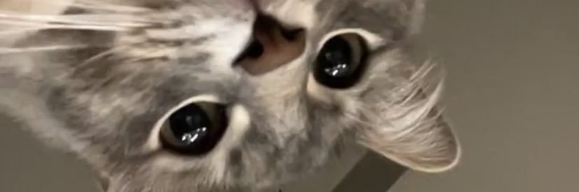 Eliah banner