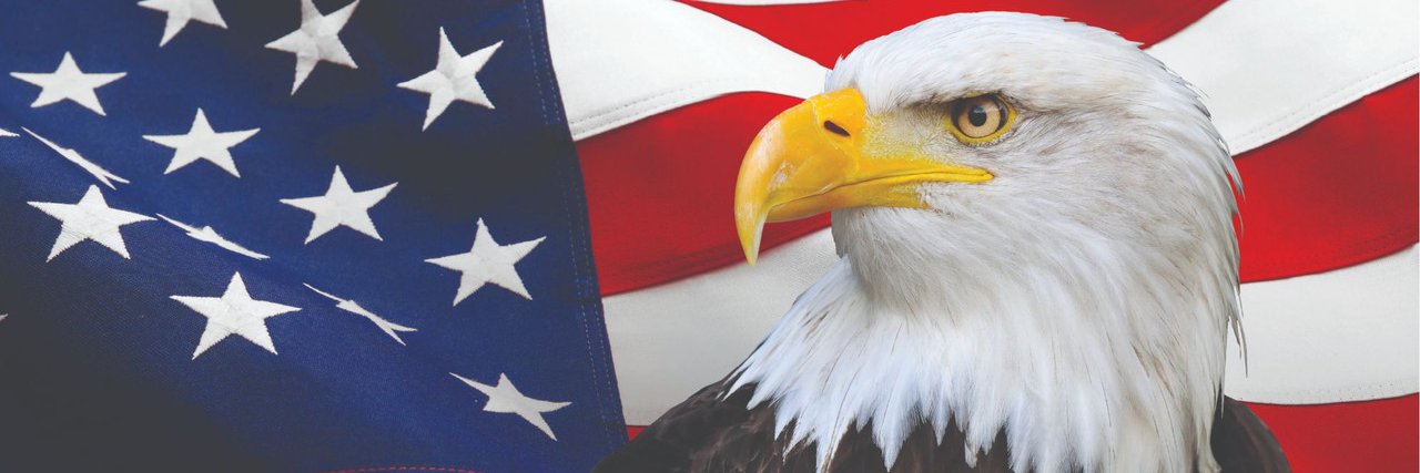 The Republic Watchdog banner