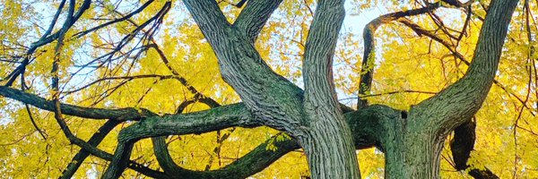 hechternacht Profile Banner