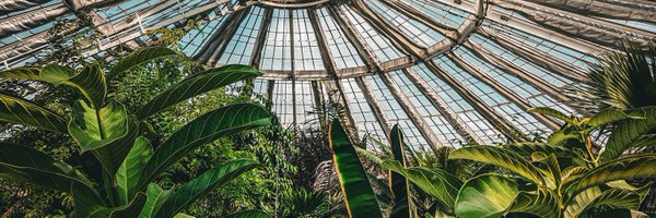 RN_CHRIS_MCR Profile Banner