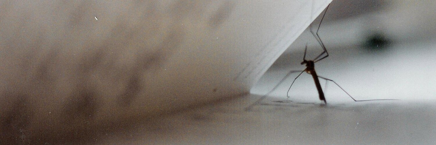glowwormsalon's profile banner image