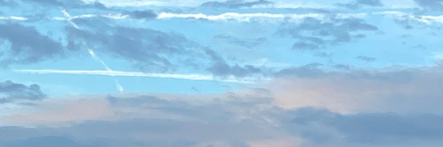 Daniel Balos 🇪🇺✊🌵🇪🇺 🇺🇦 🇬🇾 🇹🇼 🦋 banner