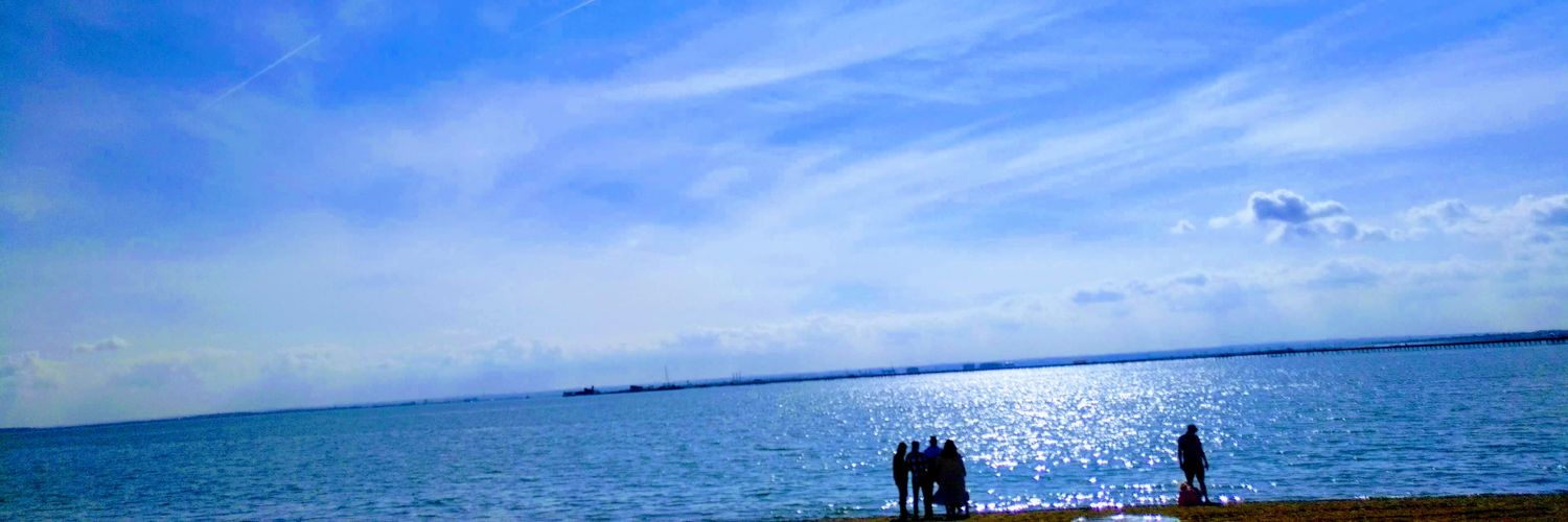 CCC Southend 🇿🇼🟨🇬🇧 banner