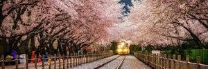 Thani_Fernandes's profile banner image