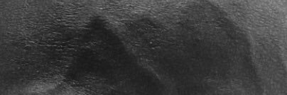🚢 banner
