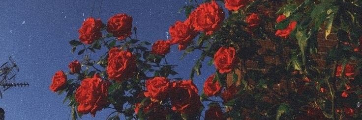 mongmon_Rain's profile banner image