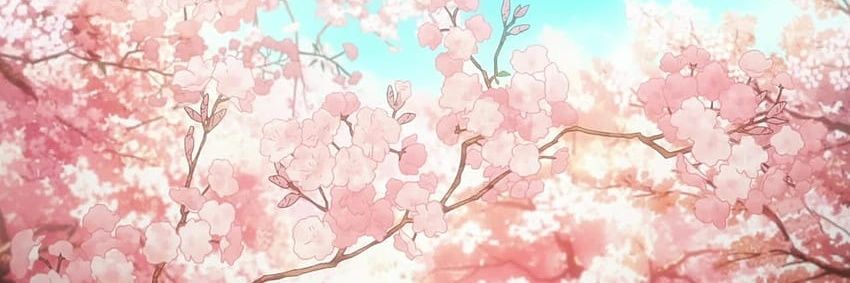 𝑳𝒊𝒏 banner
