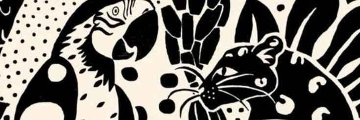souzaopa's profile banner image