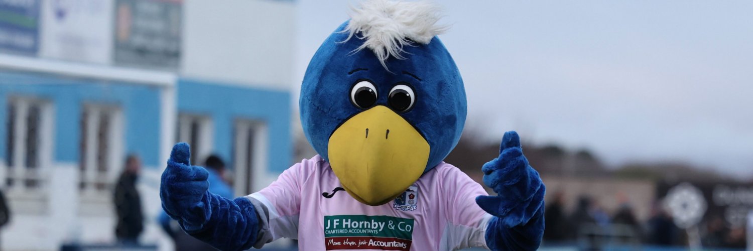 Bluey the Bluebird banner