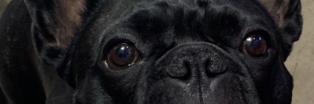 gmartinstacey's profile banner image