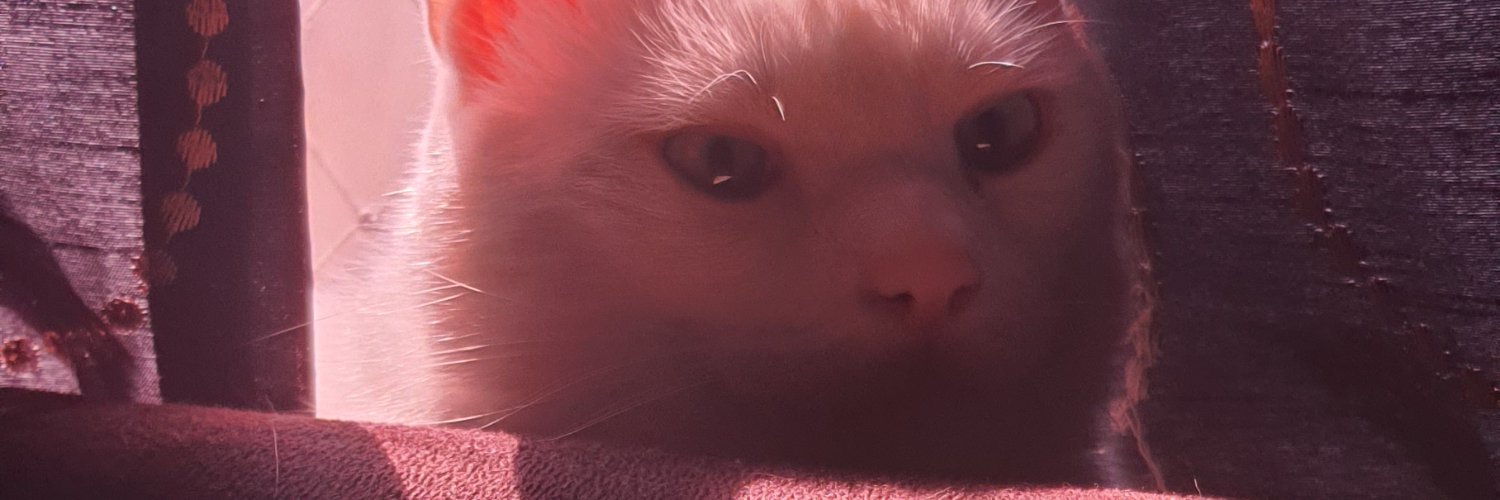 thyafo_gla's profile banner image