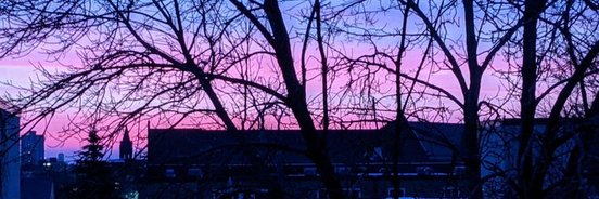 Kelsey 🎶 banner
