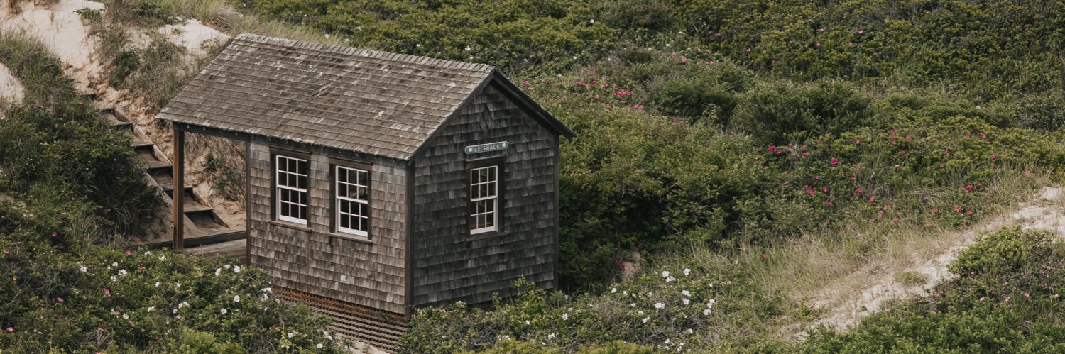 Paige Sullivan banner