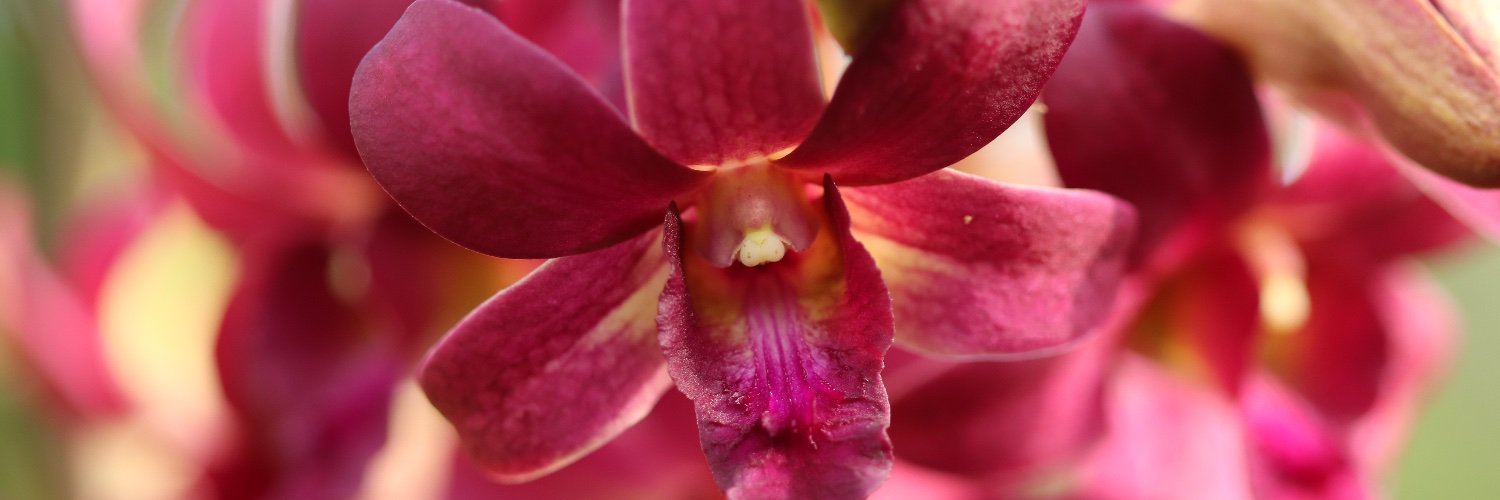 TeresaLabort's profile banner image