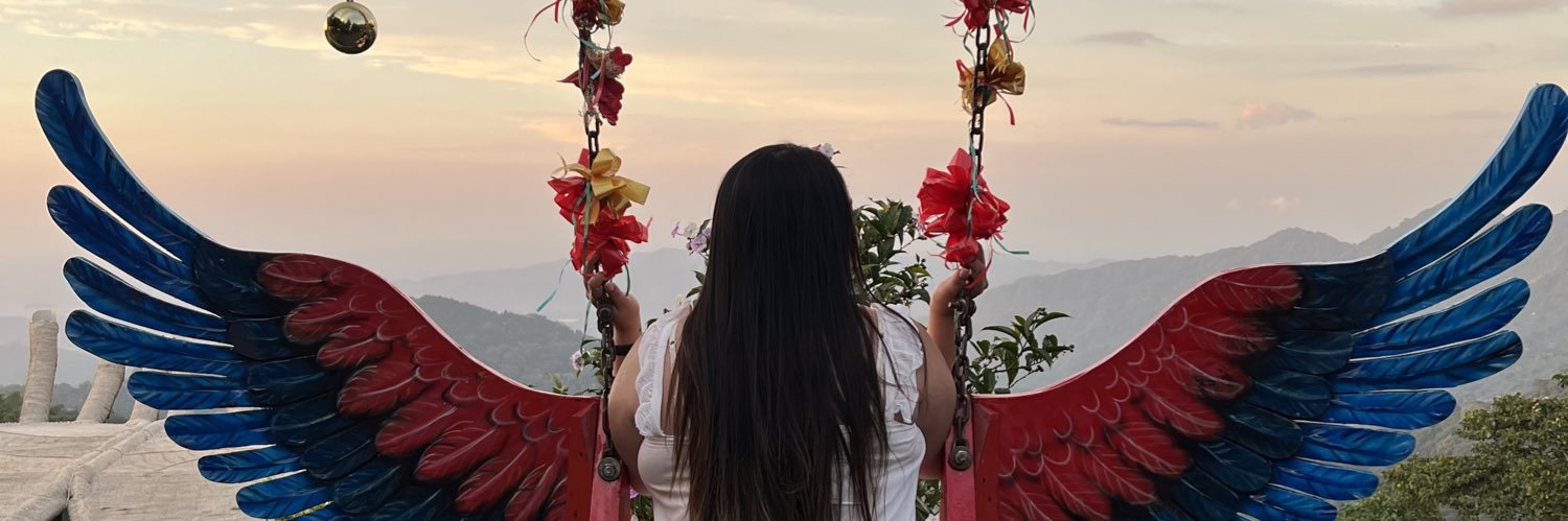 heilin torres o. banner