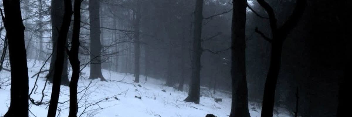 putrefiedx_'s profile banner image