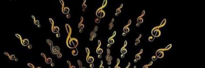 Veronica Amaro banner