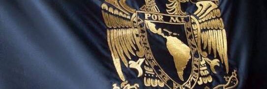 LucilaBalam's profile banner image