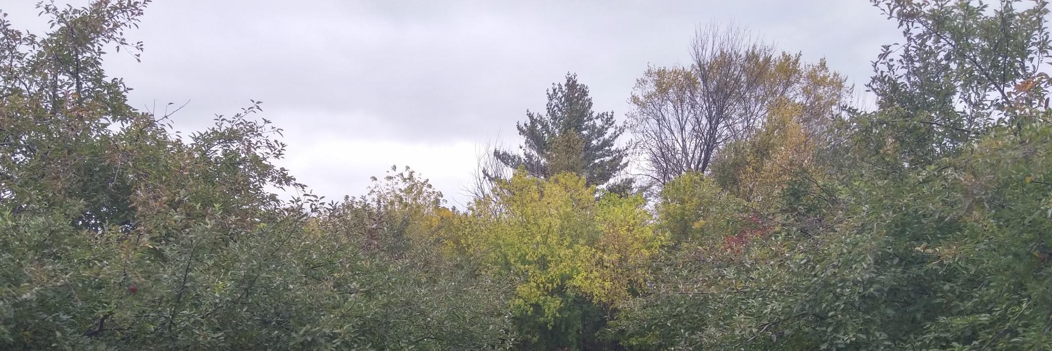 mynameischris's profile banner image