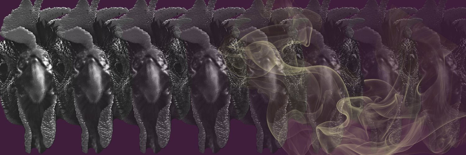 33rd° ᵃνⓘᗩ𝐧Ⓢ banner