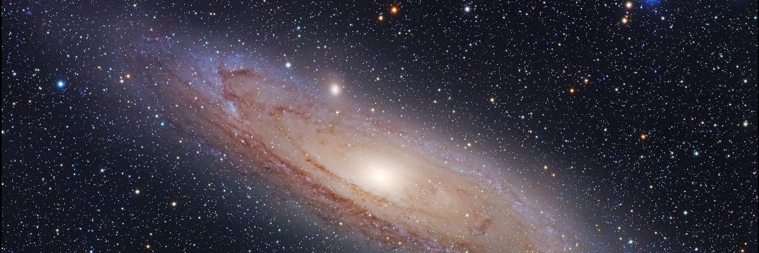 BillMurrayylmao's profile banner image