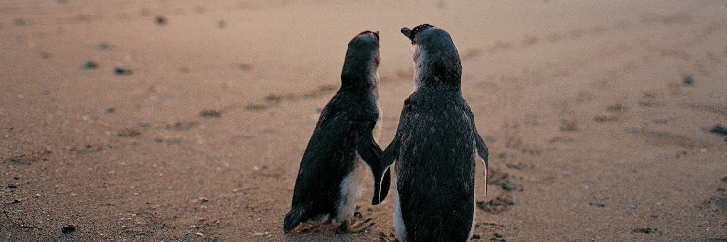 Wildlife_Tours's profile banner image