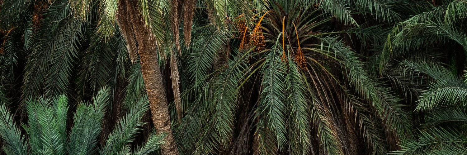 EPGUI's profile banner image
