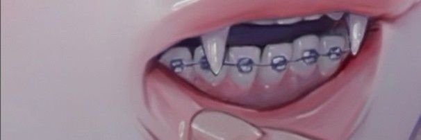 SalgadoRen's profile banner image