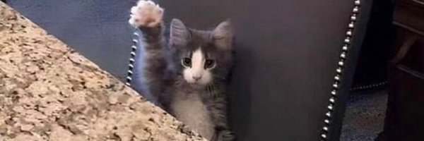 FnfYTMod Profile Banner