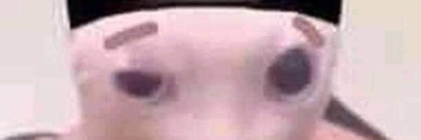 Pipo banner