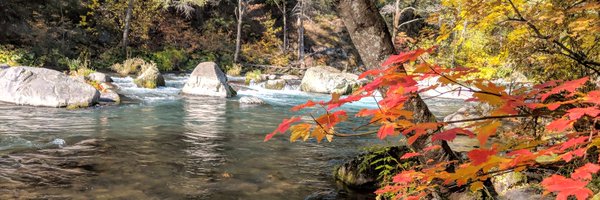 TedHulsyTweets Profile Banner