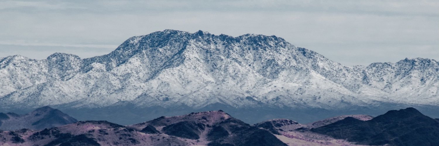 Elizabeth Bulot banner