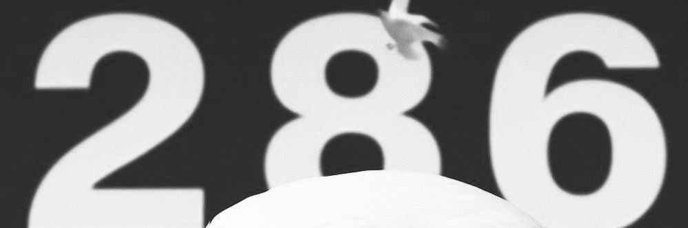 Lyns 286 🦅🇦🇷 banner