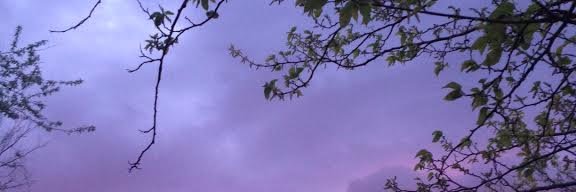 AmyRognlie's profile banner image