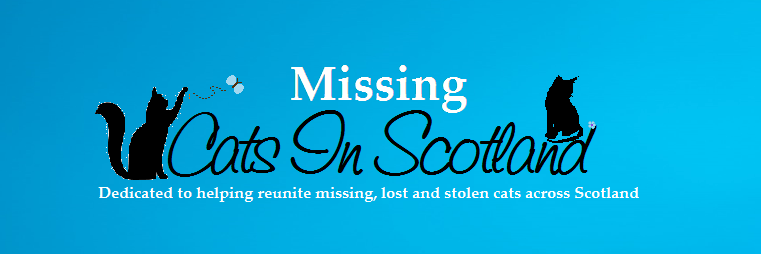 MissingCats Scotland banner