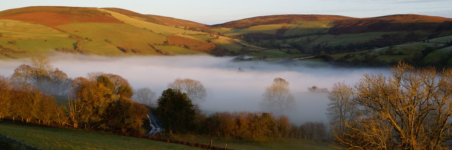 Janie & Sooty banner