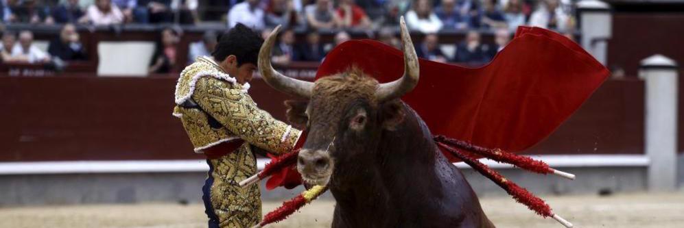 Alberto López Simón banner