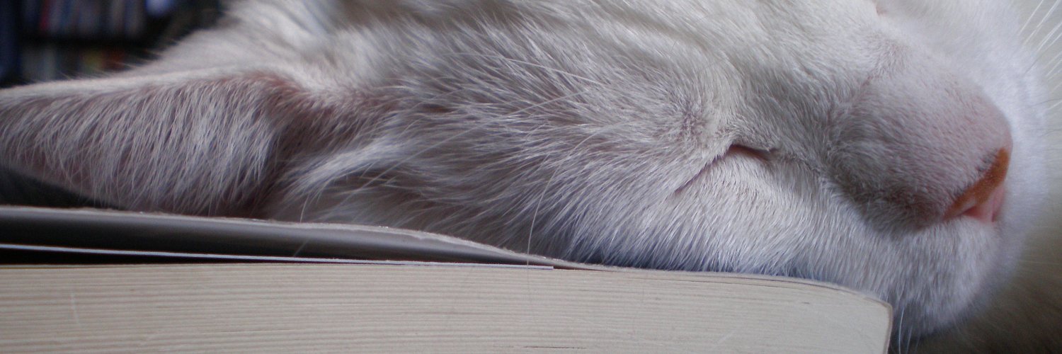 Myrsini Stephanides banner