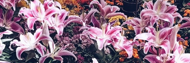 mrrrtssy's profile banner image