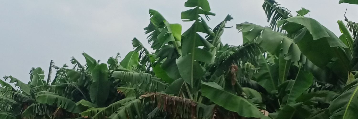 Da Rasok banner