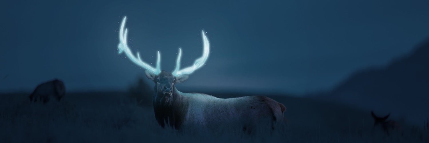 WispF1's profile banner image