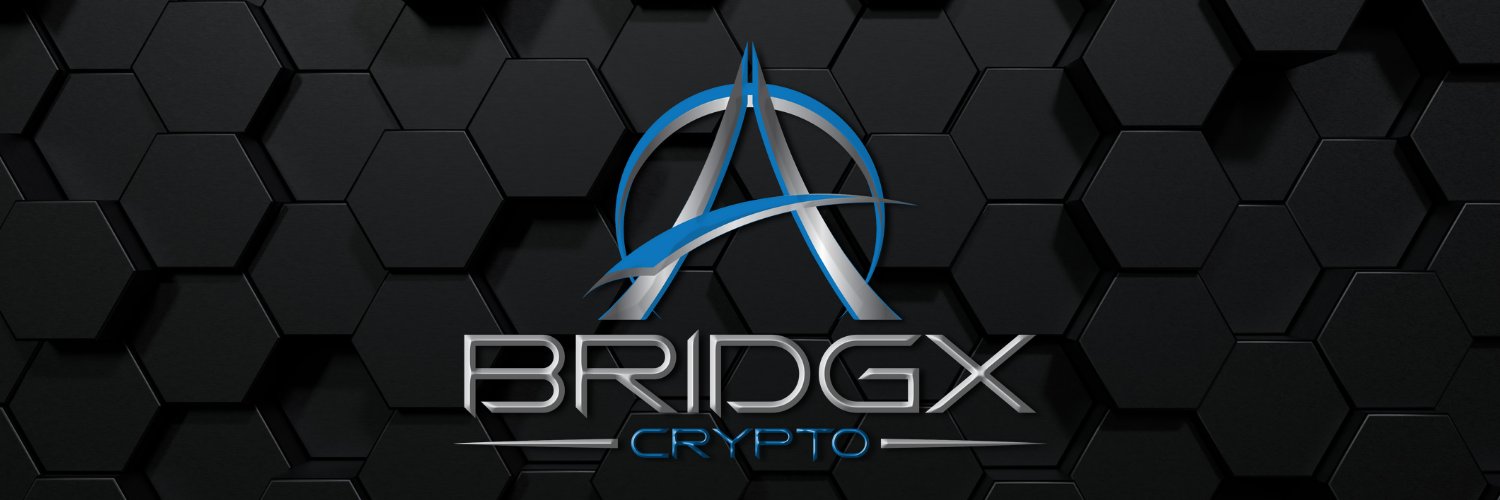 BridgX banner